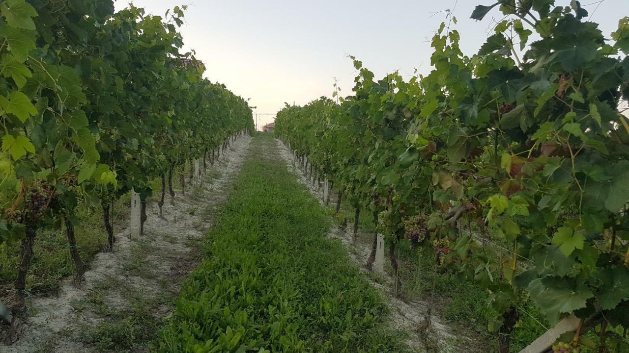 Appartamento Emilia Agliano Terme Esterno foto